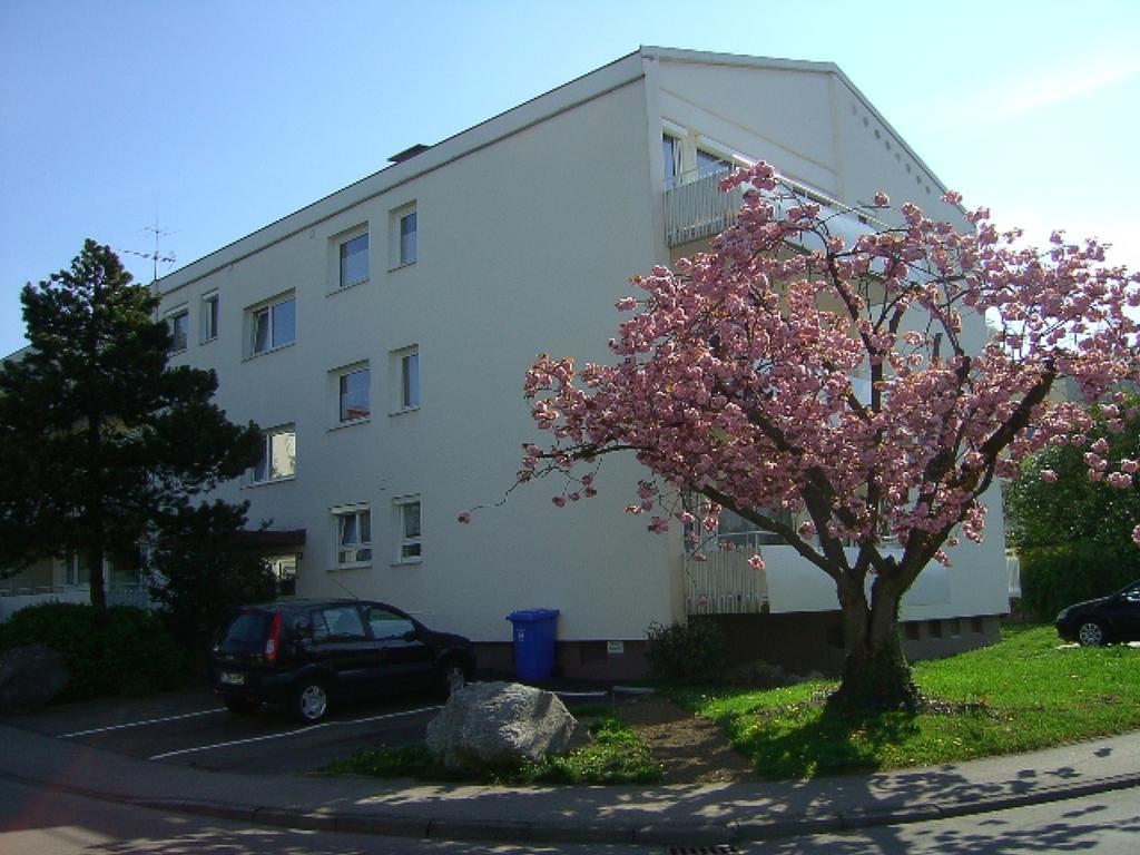 Ferienwohnung Schliestaedt-Goerge New Translation Exteriér fotografie